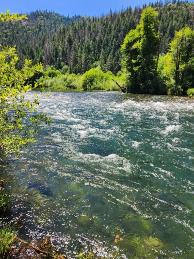 Douglas City Campground - Douglas City, CA