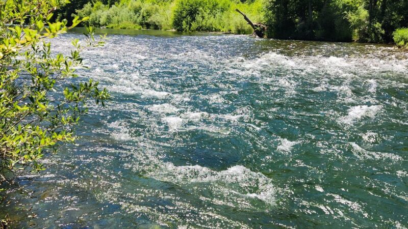 Douglas City Campground - Douglas City, CA