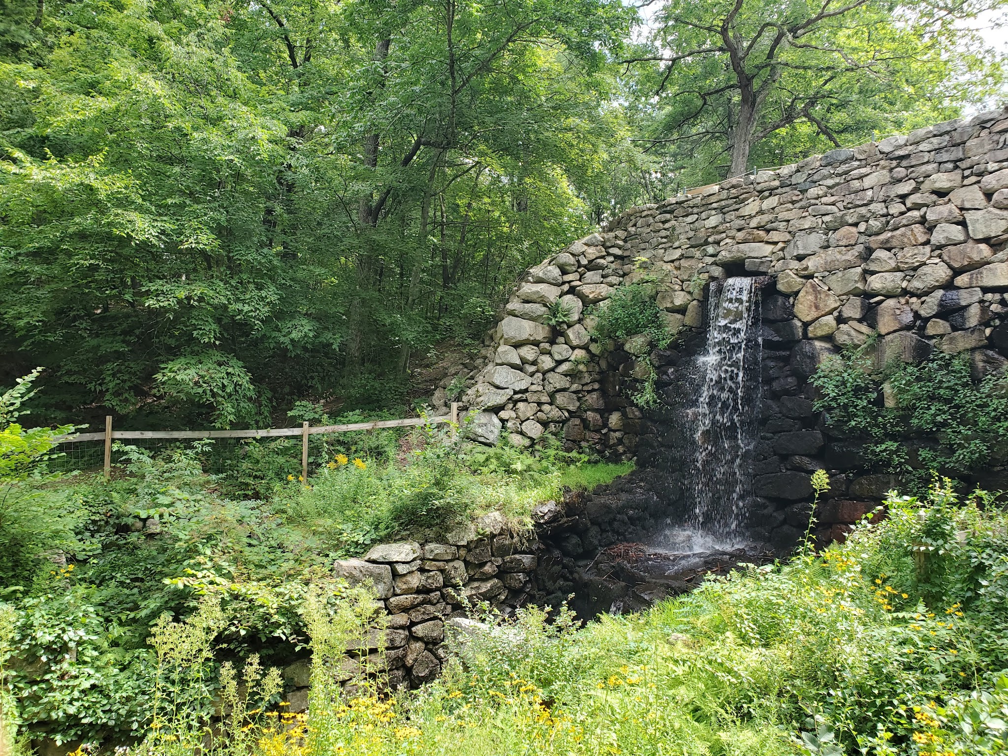 Noanet Woodlands - Dover, MA