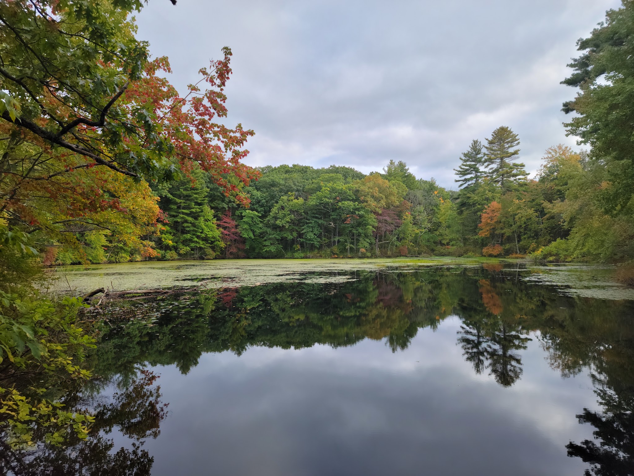 Noanet Woodlands - Dover, MA