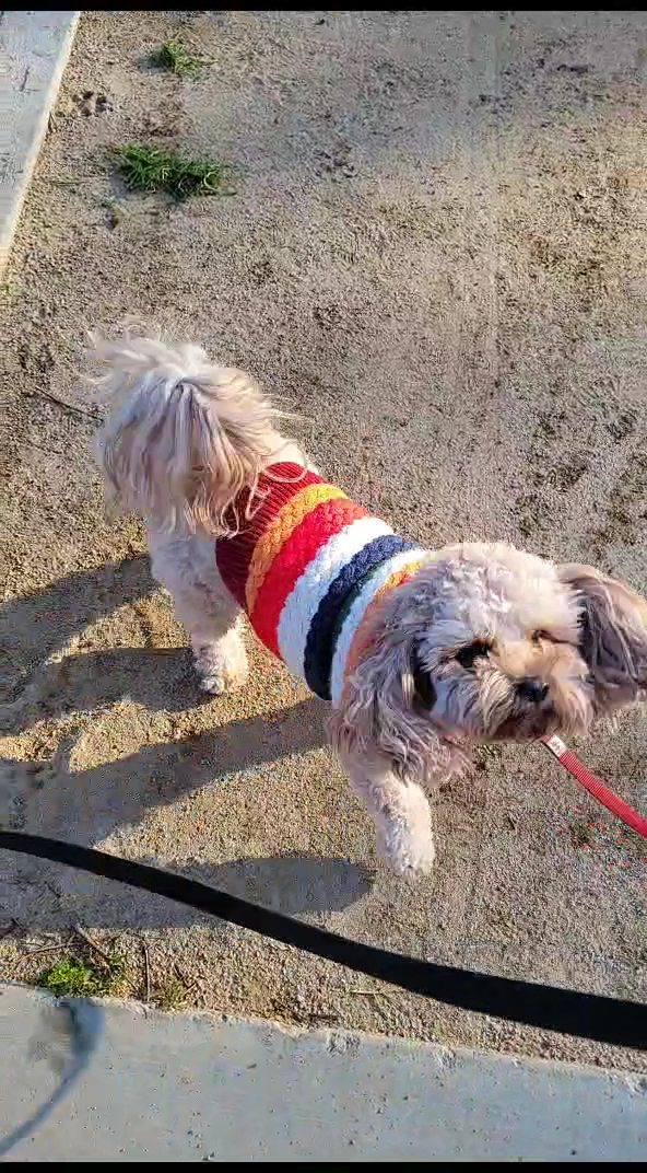 Rio San Gabriel Park - Downey, CA