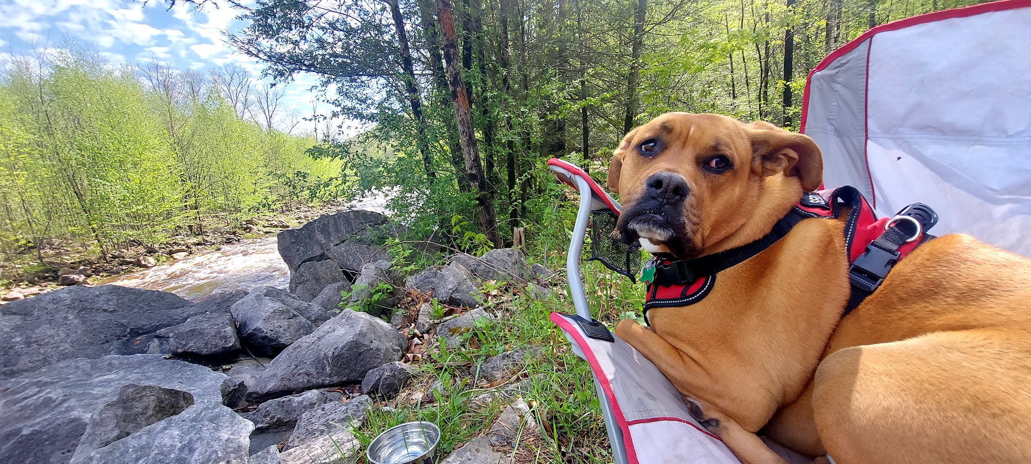 Red Creek Trailhead - Dryfork, WV