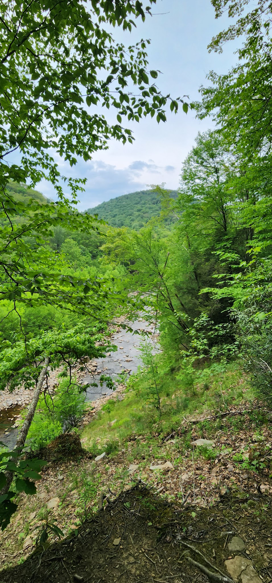 Red Creek Trailhead - Dryfork, WV