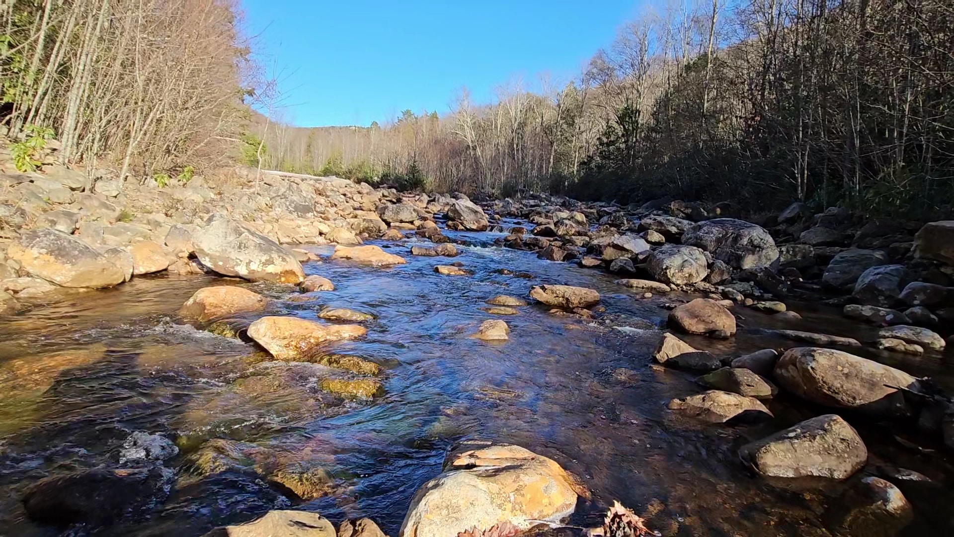 Red Creek Trailhead - Dryfork, WV
