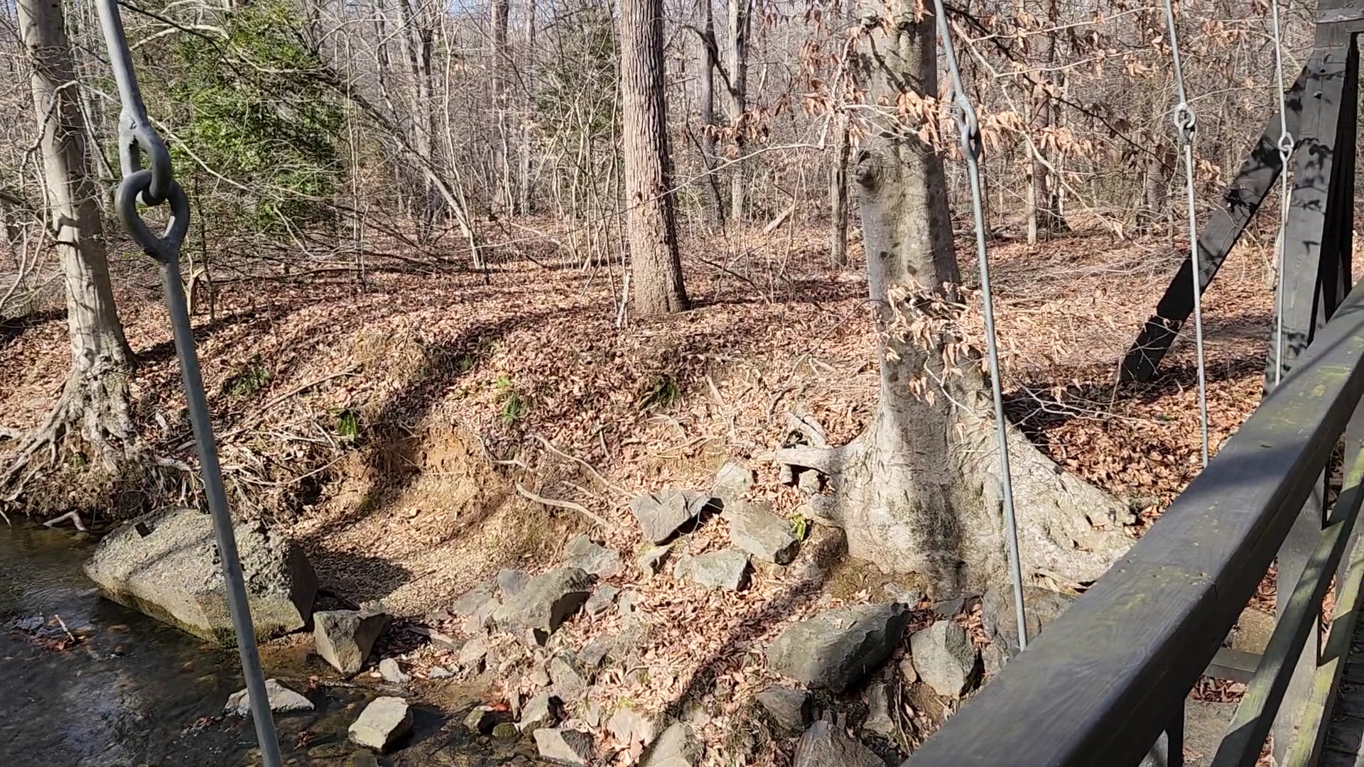 South Valley Trail - Dumfries, VA