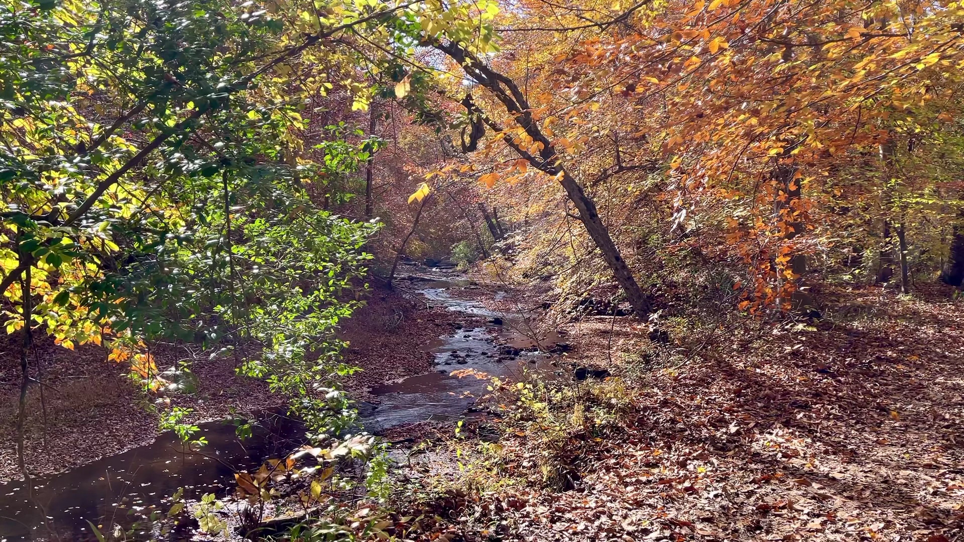 South Valley Trail - Dumfries, VA