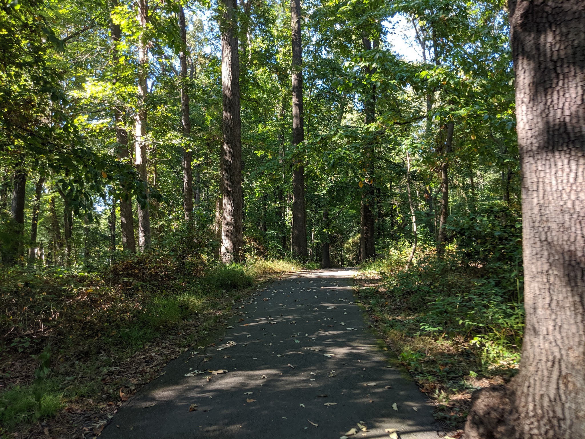 Dunn Loring Park - Dunn Loring, VA