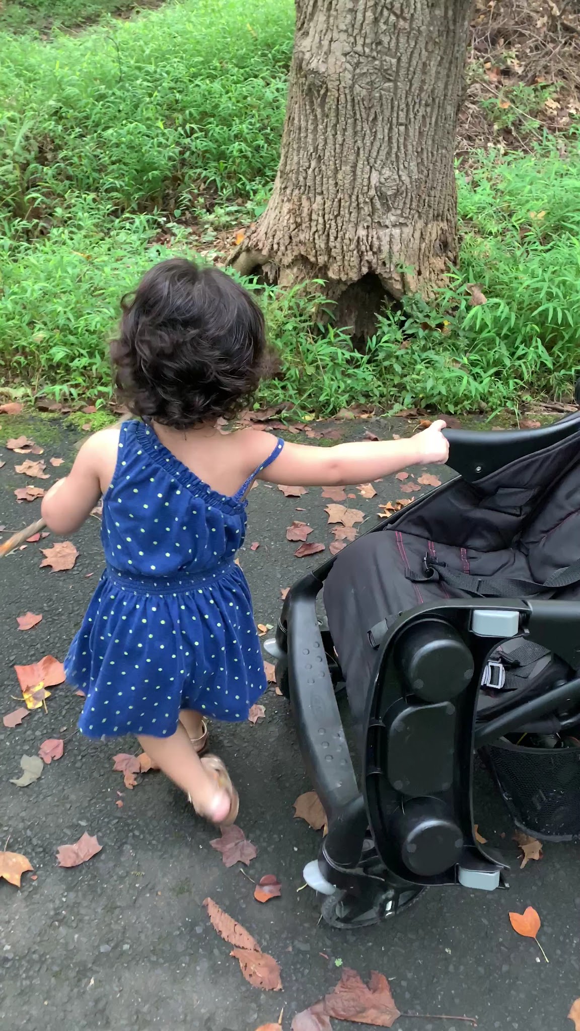 Dunn Loring Park - Dunn Loring, VA