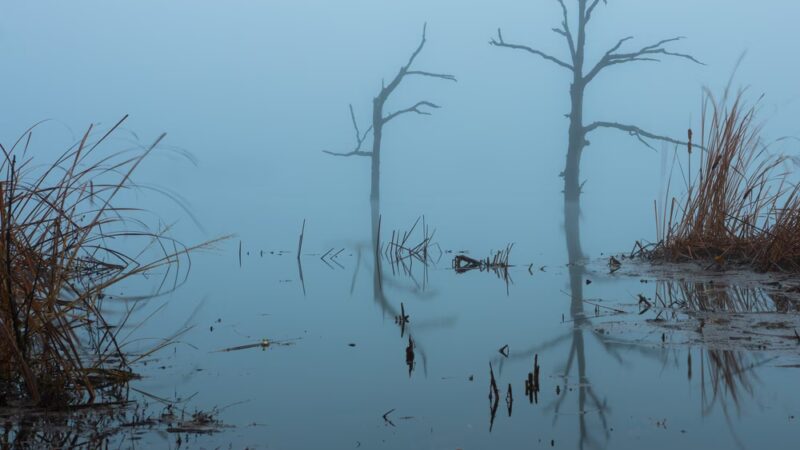 Lake Durant Park - Durant, OK