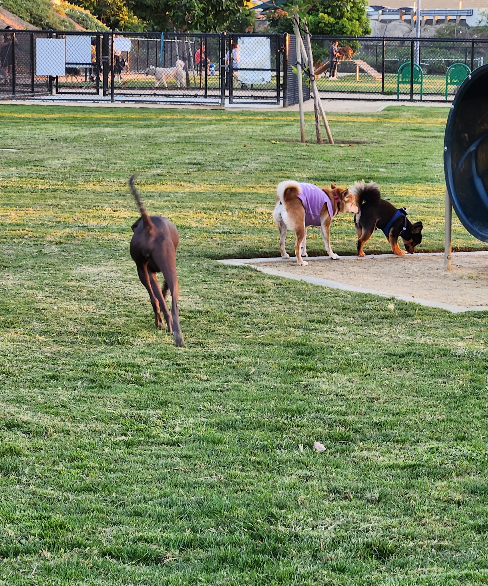 Fletcher Park - El Monte, CA