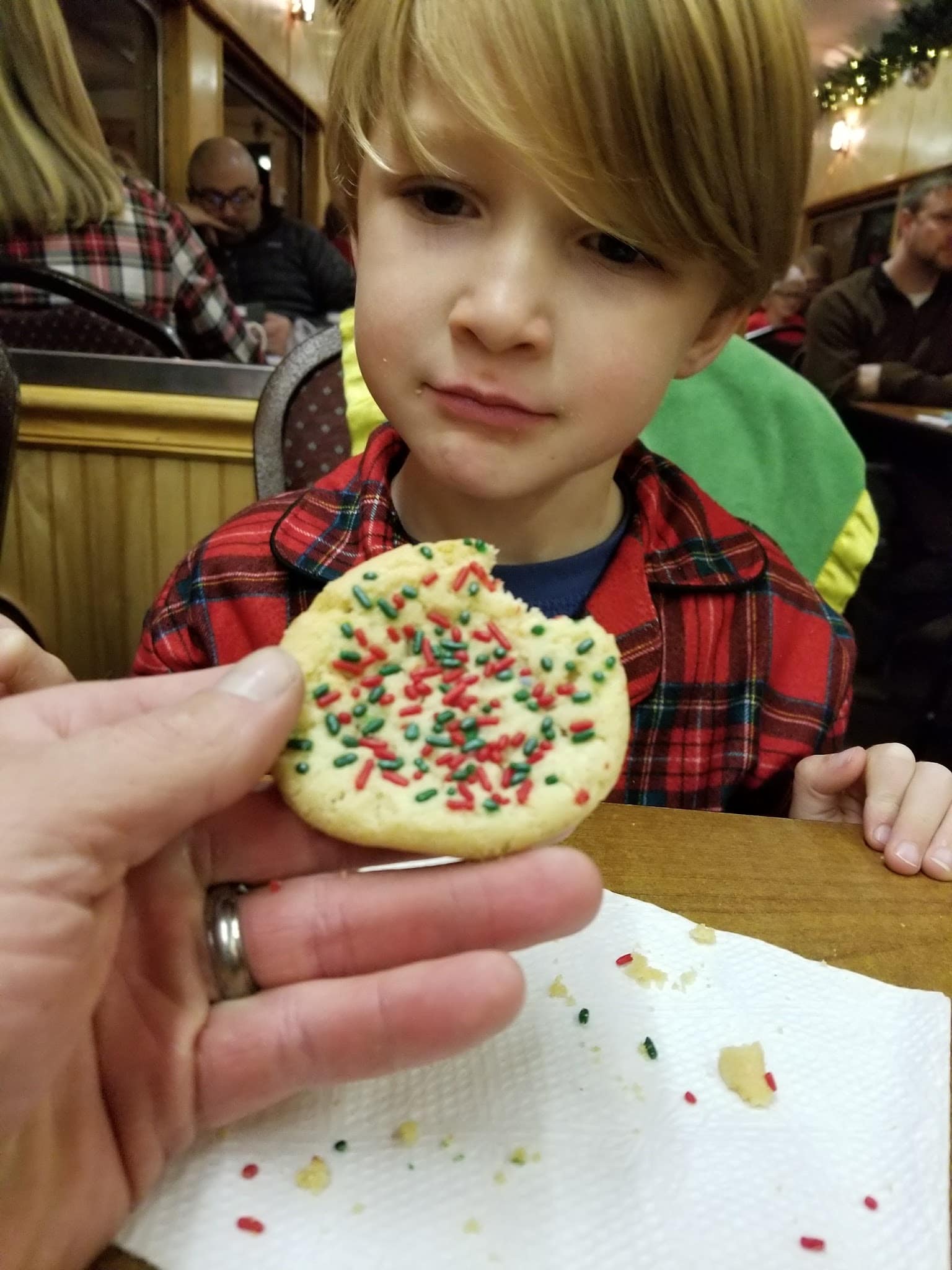 Bluegrass Park - Elkins, WV