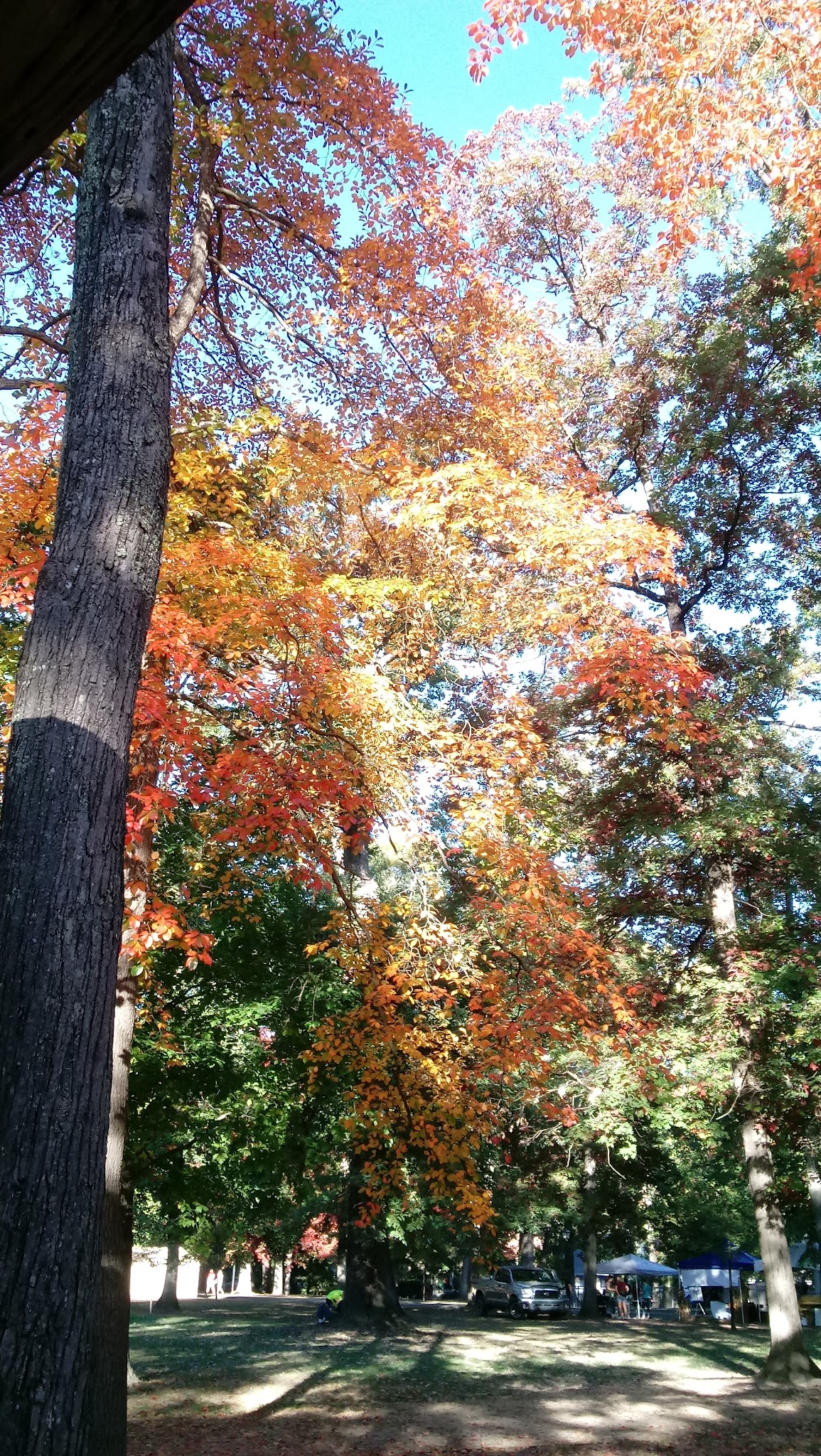 Elkins City Park - Elkins, WV
