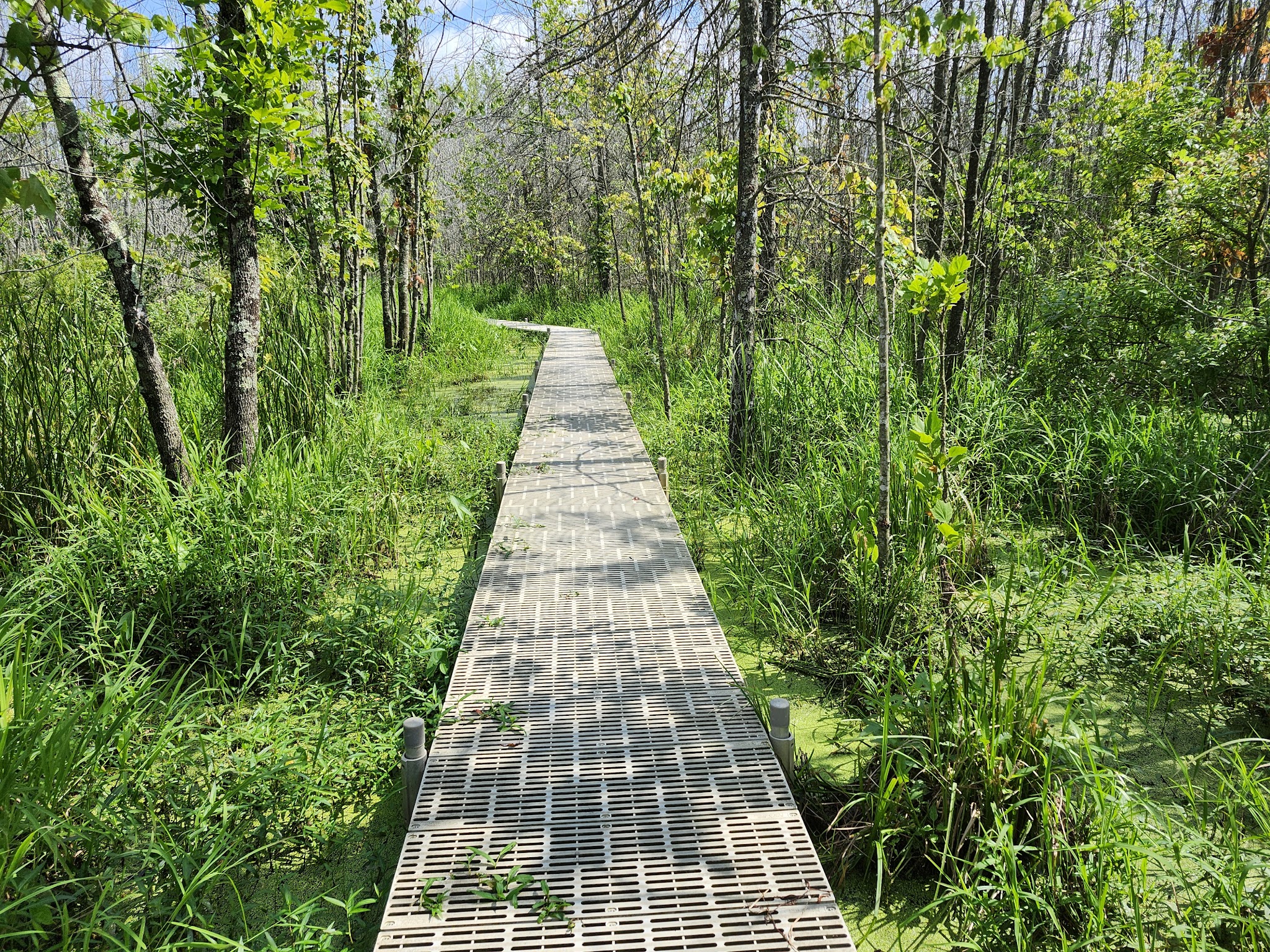 Beanblossom Bottoms Nature Preserve - Sycamore Land Trust - Ellettsville, IN