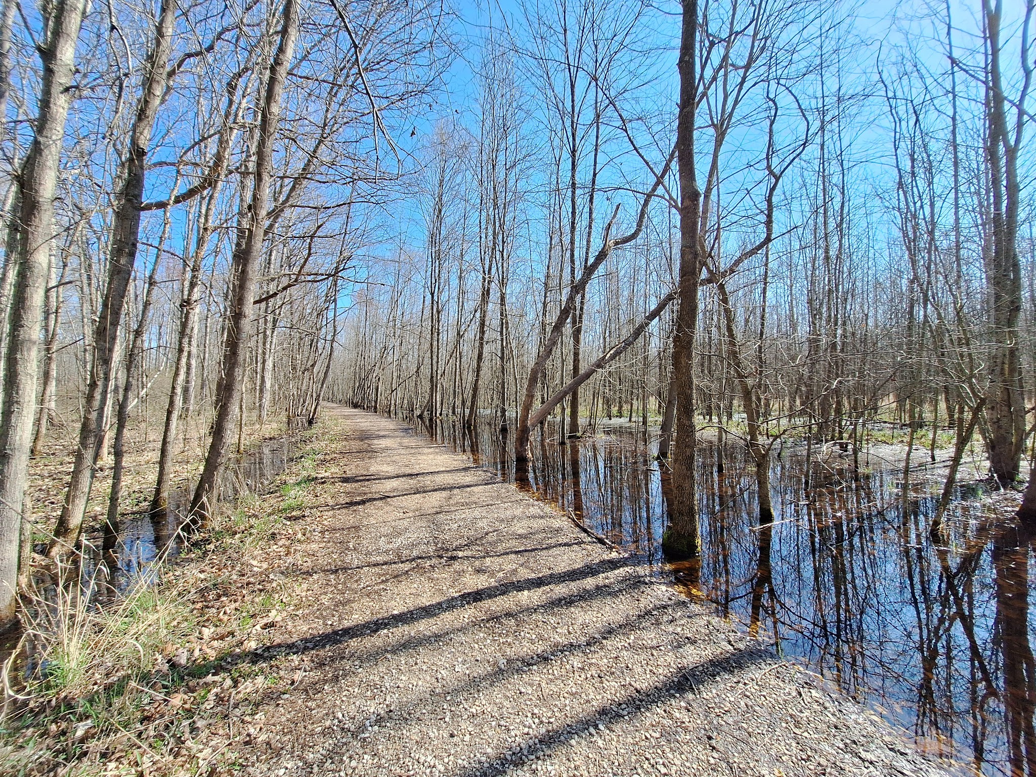 Beanblossom Bottoms Nature Preserve - Sycamore Land Trust - Ellettsville, IN