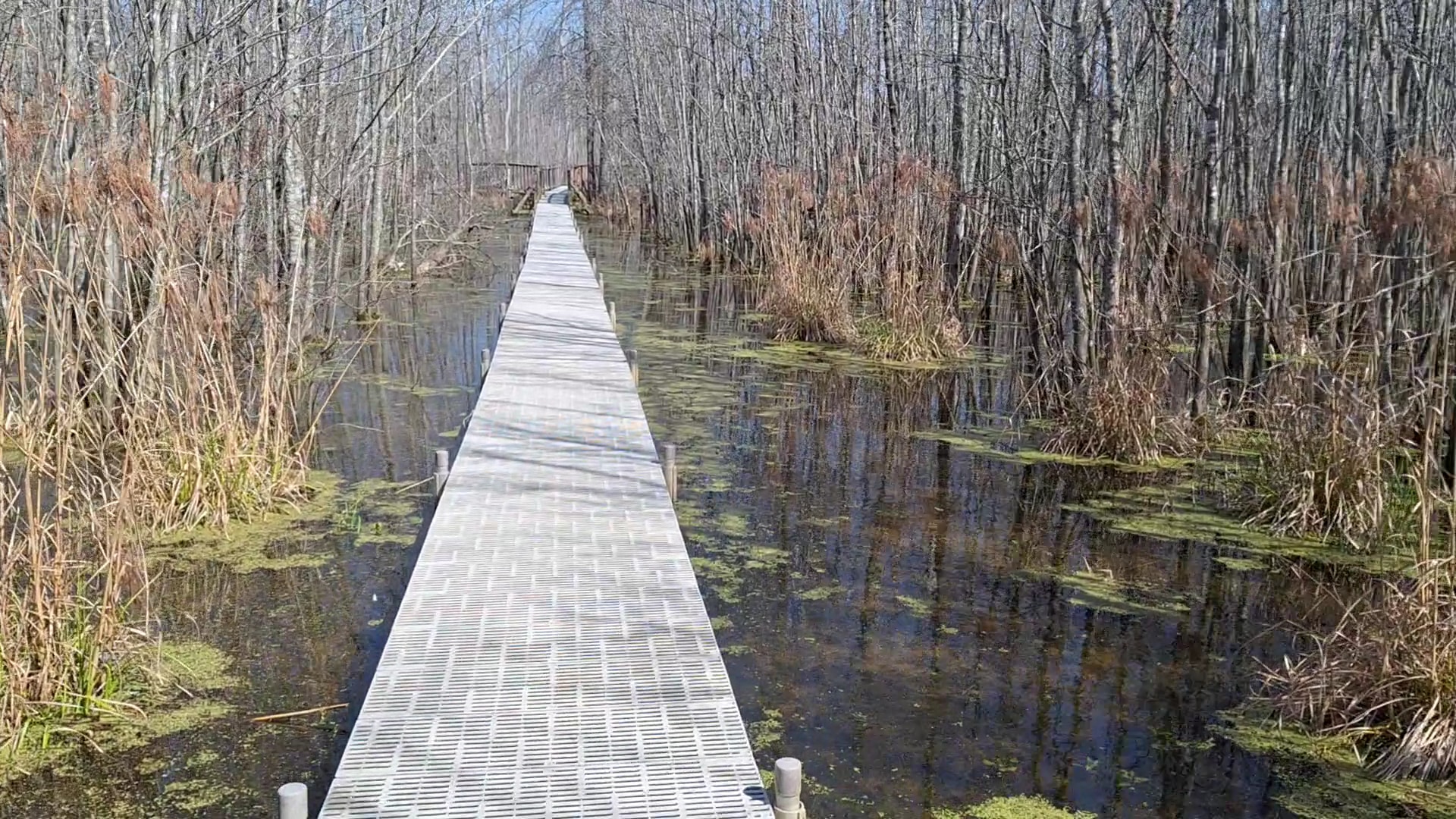 Beanblossom Bottoms Nature Preserve - Sycamore Land Trust - Ellettsville, IN