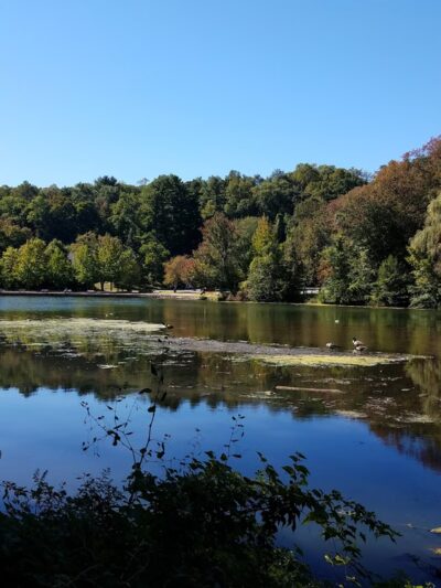 Great Hunger Memorial - Elmsford, NY
