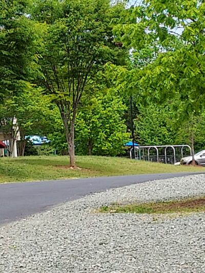 Town of Elon - Elon, NC