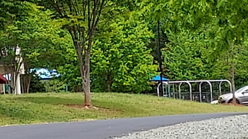 Town of Elon - Elon, NC