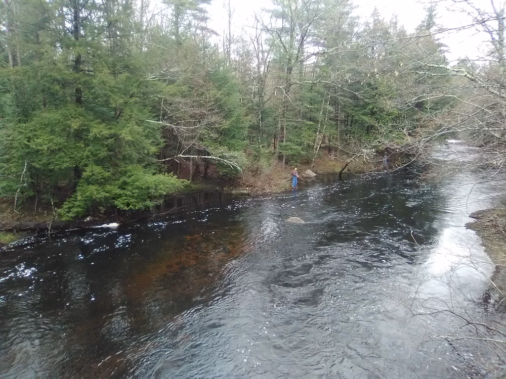 Folsom Conservation Area - Epping, NH