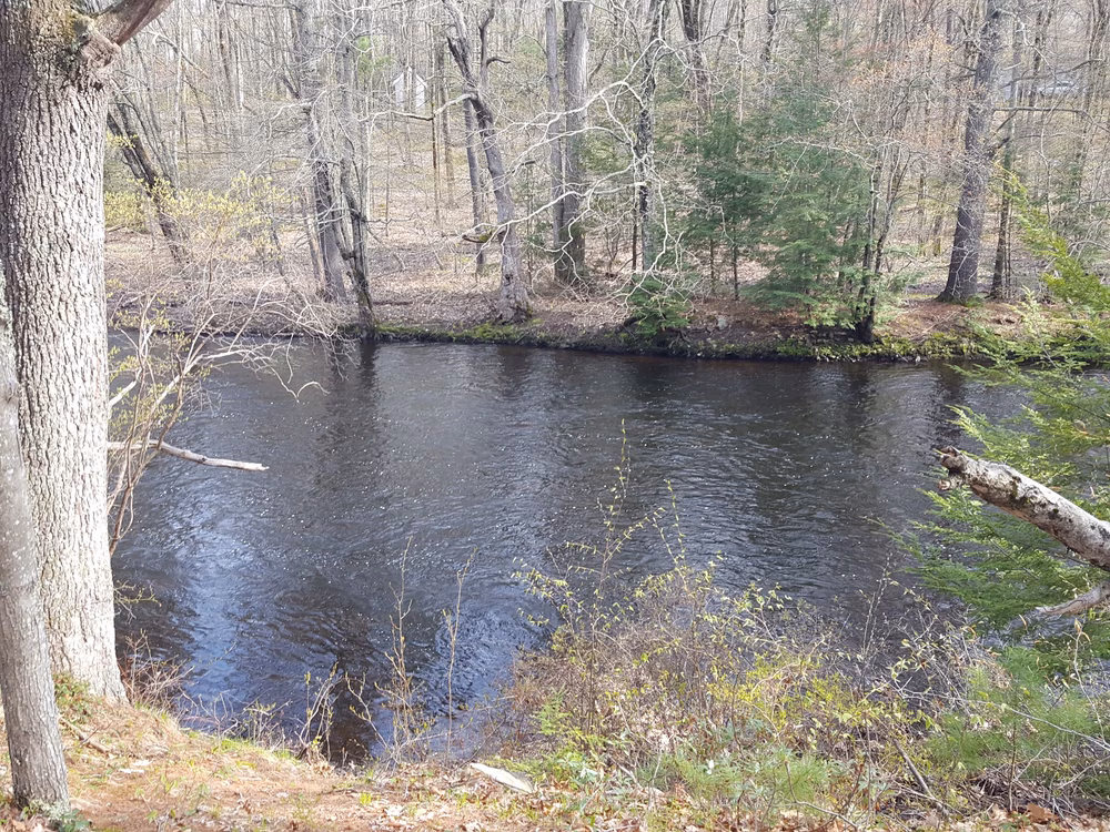 Folsom Conservation Area - Epping, NH