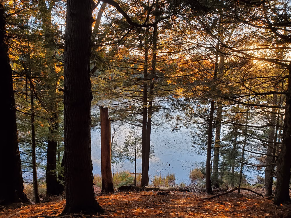 Fox Run Conservation Area - Epping, NH