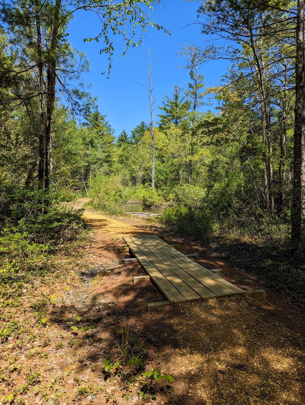 Mast Road Natural Area - Epping, NH