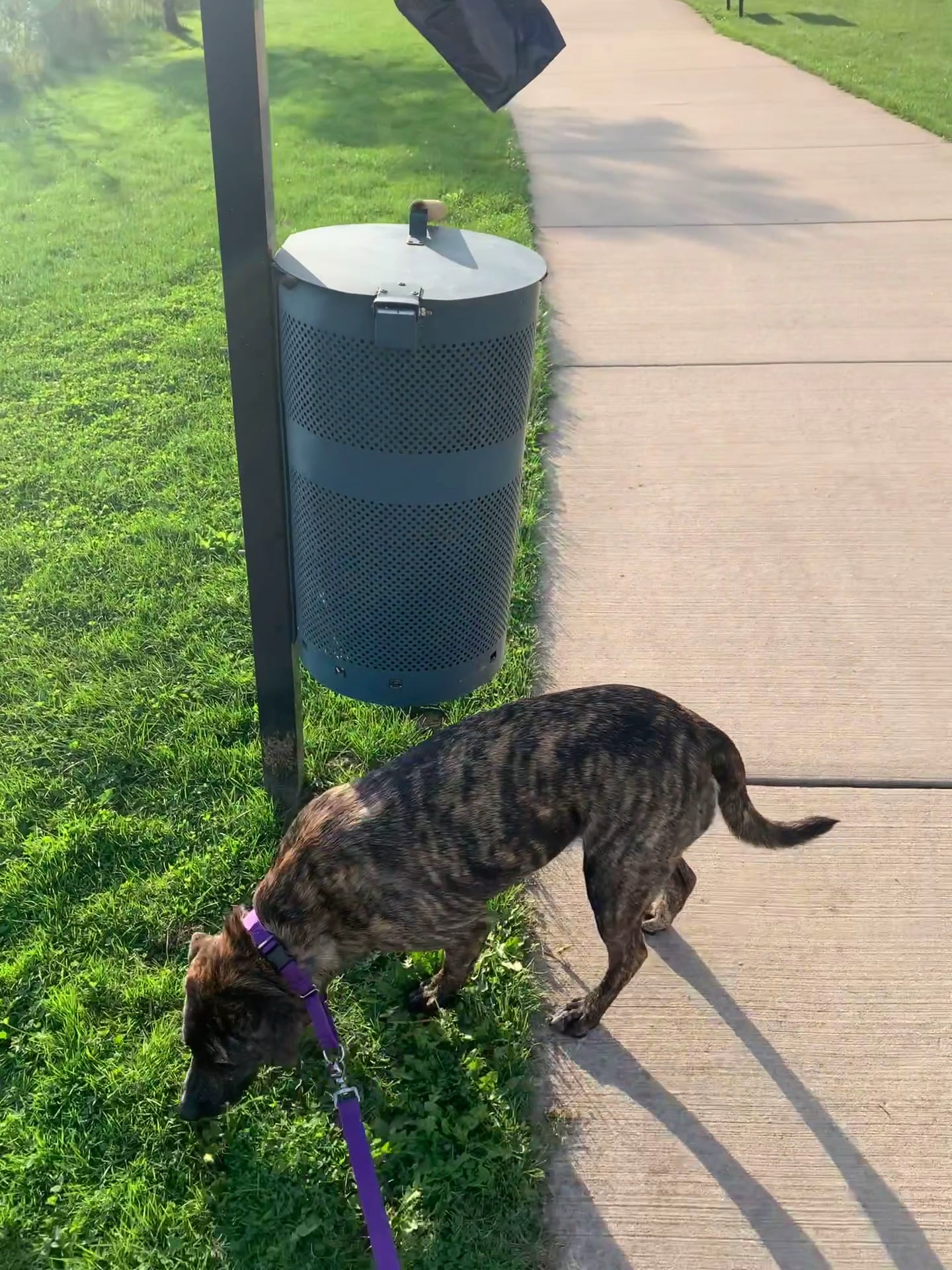 50-Acre Park - Evergreen Park, IL