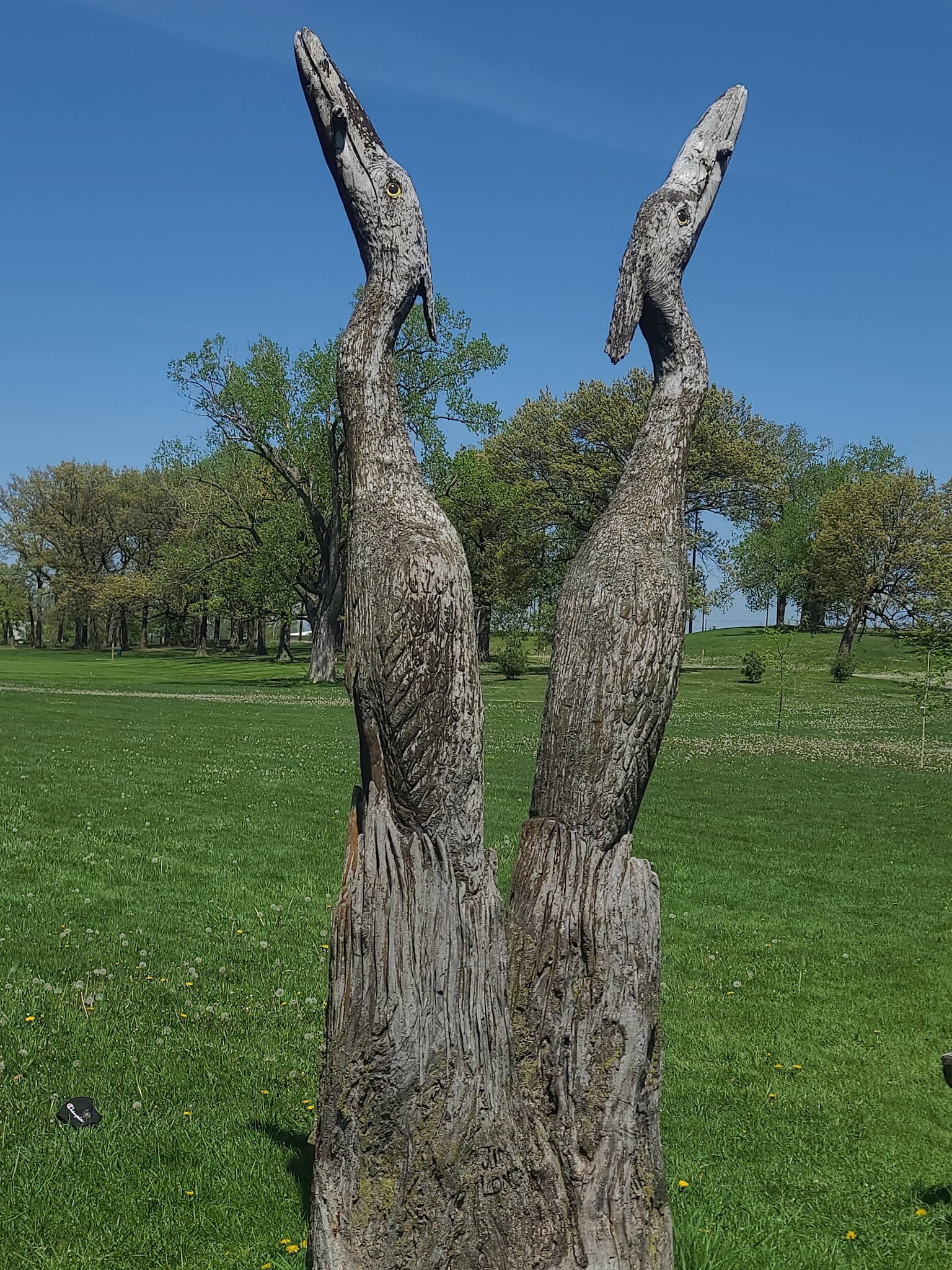 50-Acre Park - Evergreen Park, IL