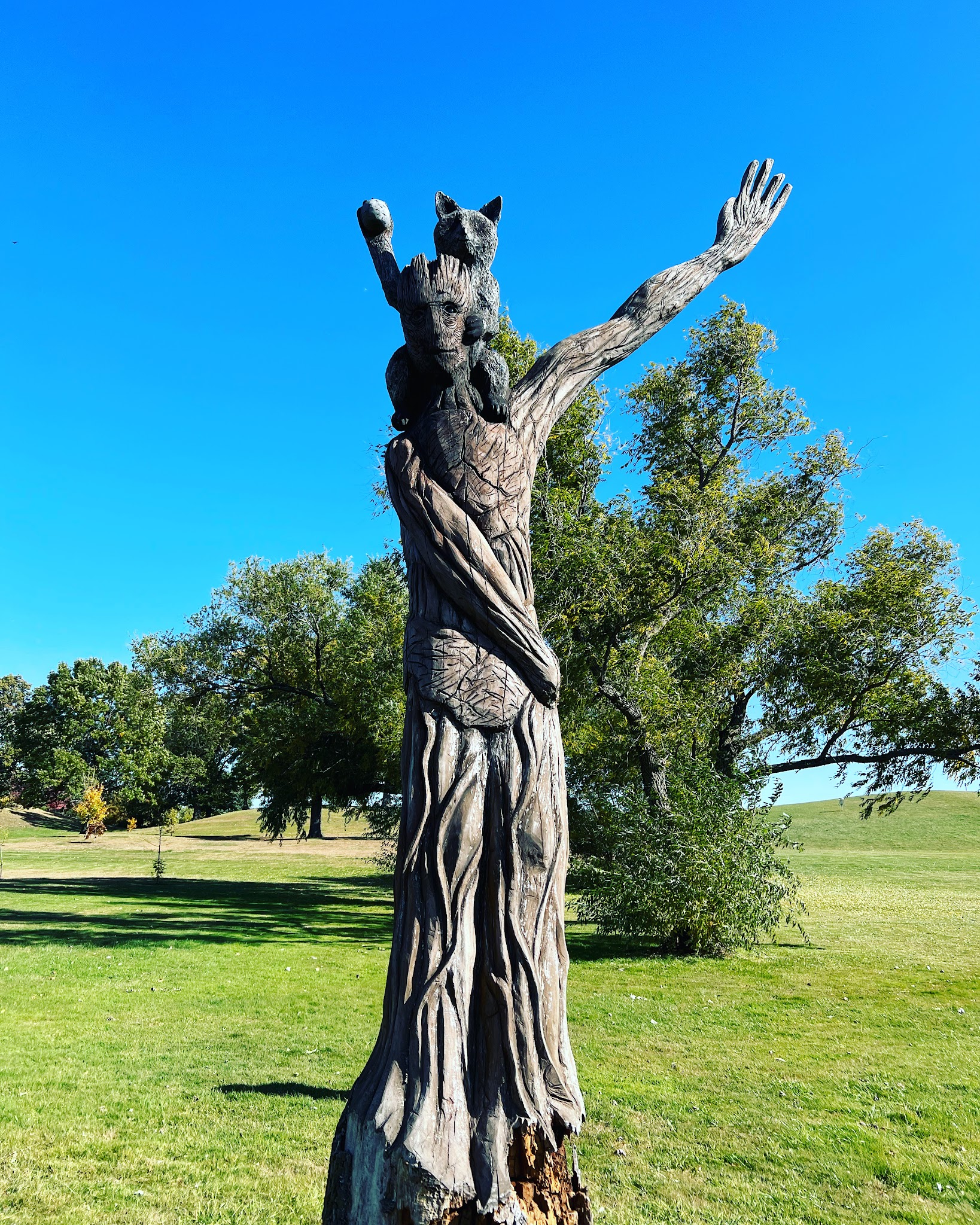 50-Acre Park - Evergreen Park, IL