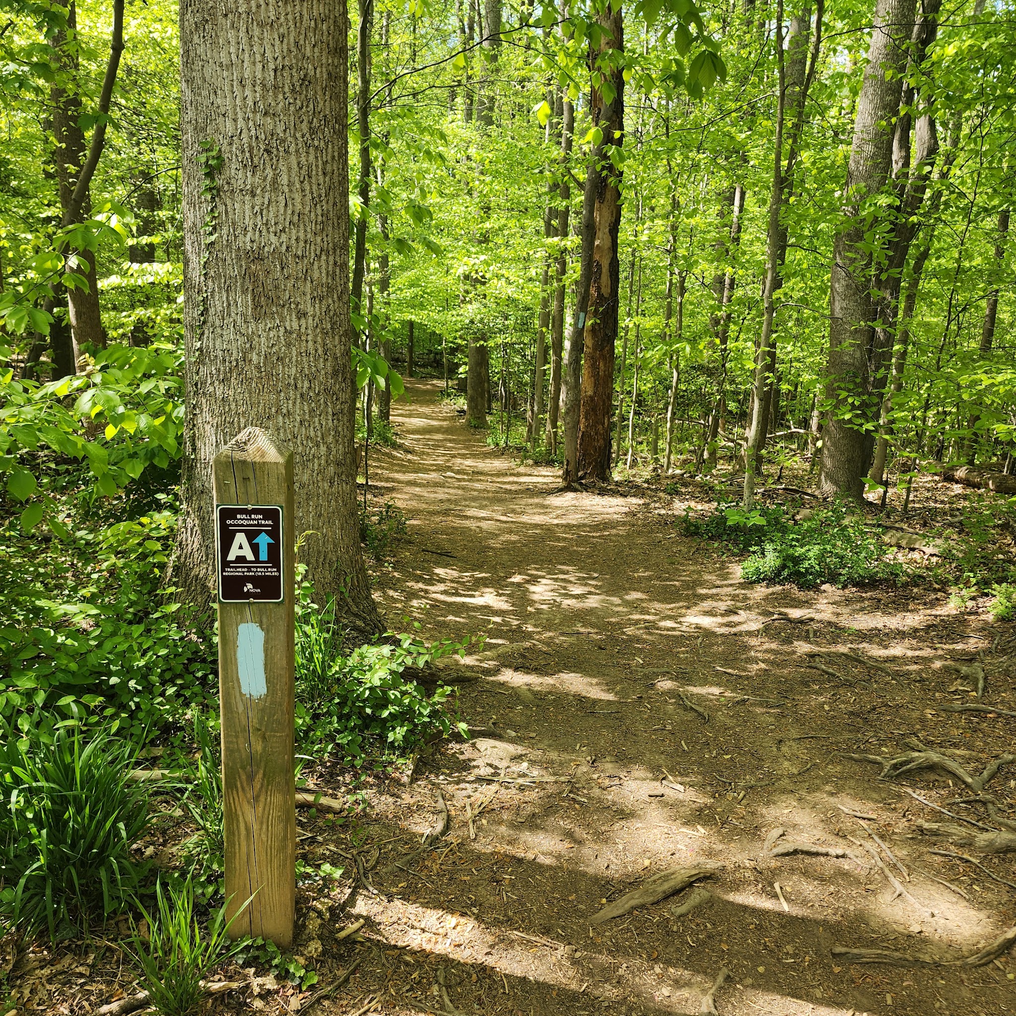 Fountainhead Regional Park - Fairfax Station, VA