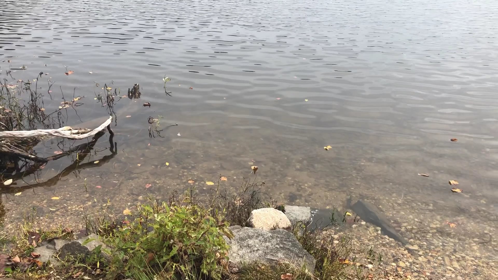 Fountainhead Regional Park - Fairfax Station, VA