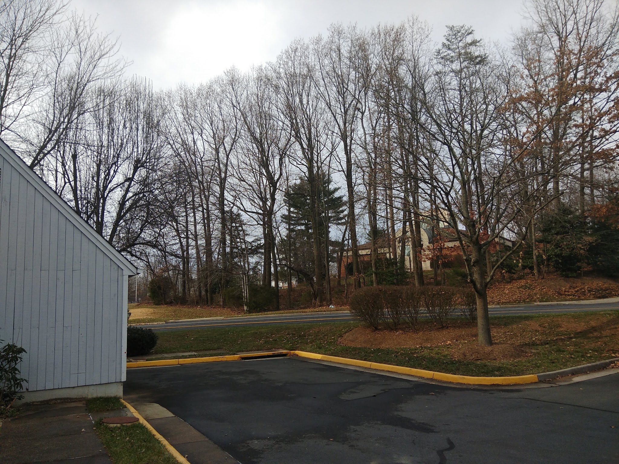 Alder Woods Park - Fairfax, VA