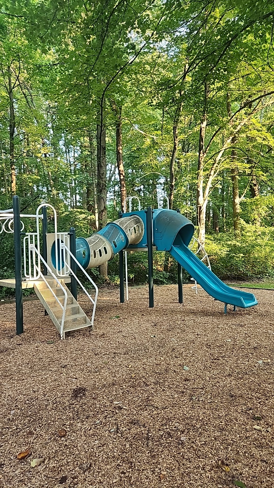 Alder Woods Park - Fairfax, VA