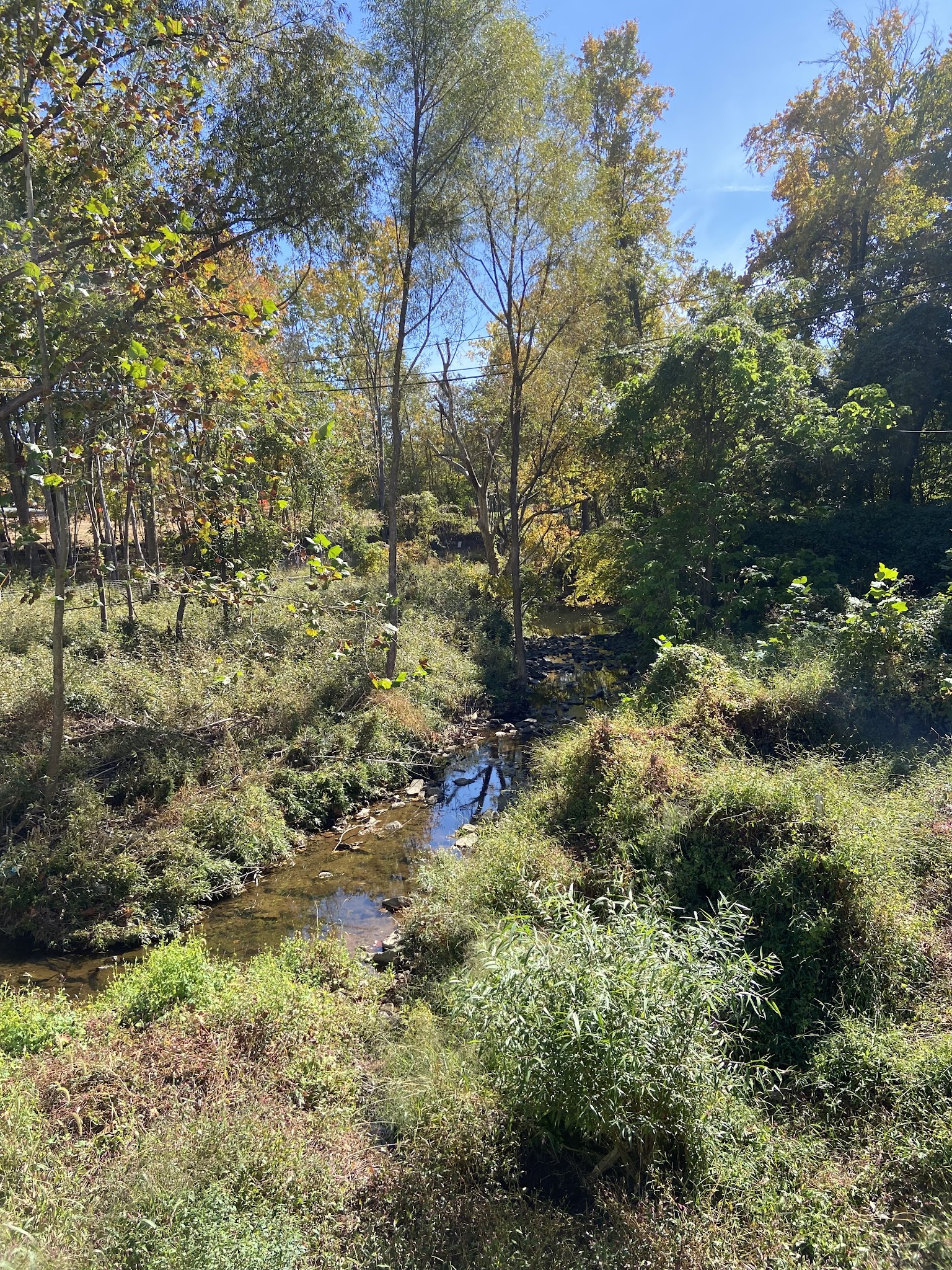 Armistead Park - Fairfax, VA