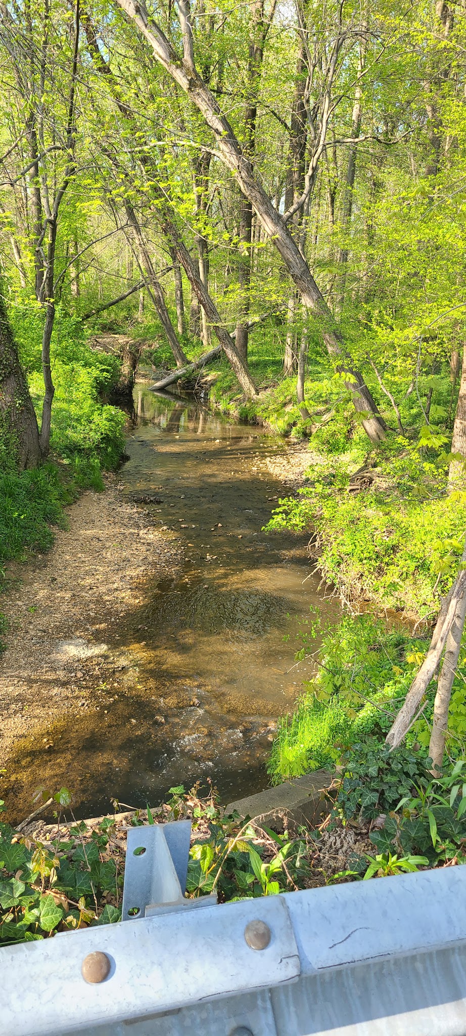 Armistead Park - Fairfax, VA