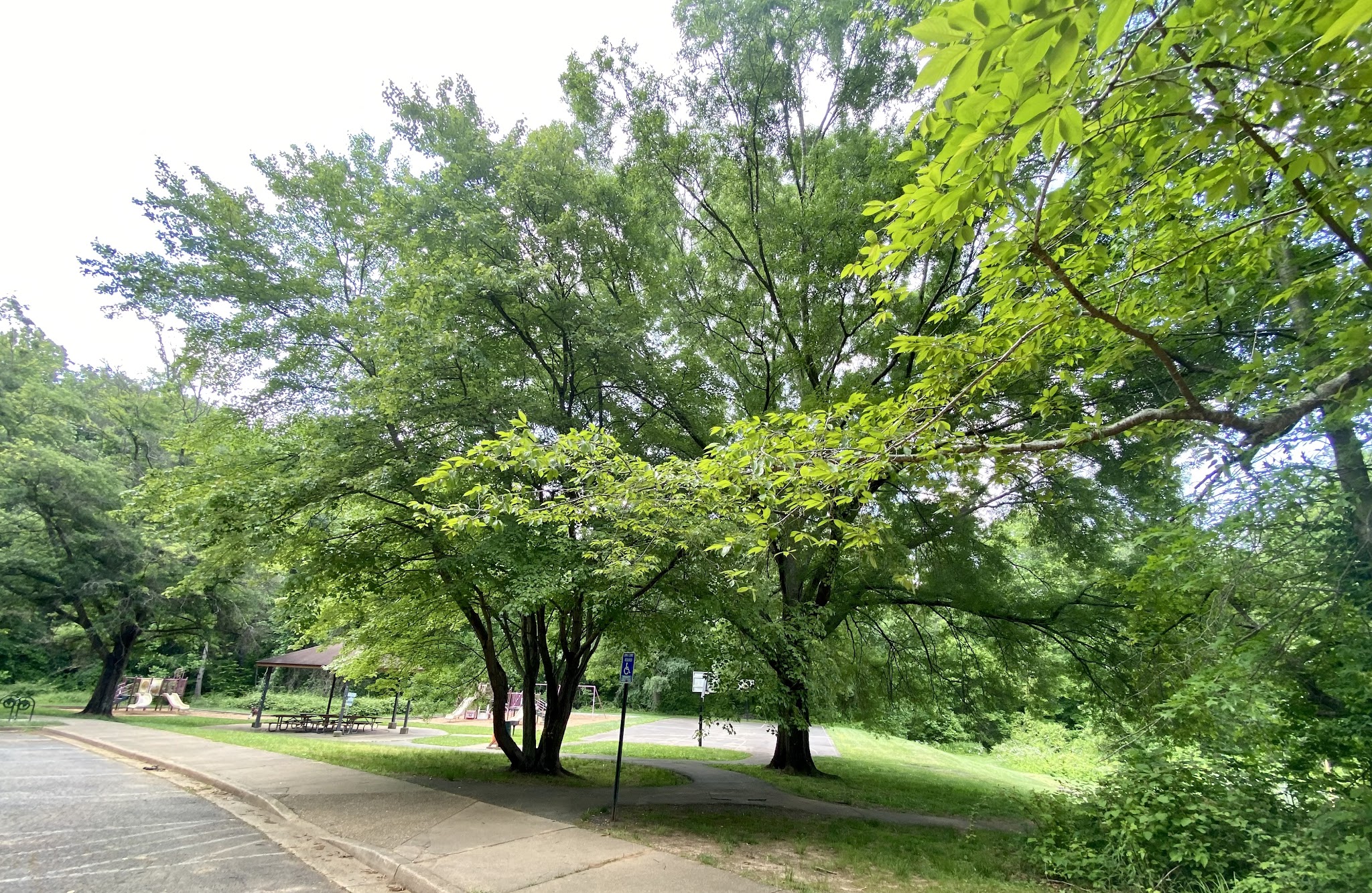 Eakin Park (Mantua Section) - Fairfax, VA
