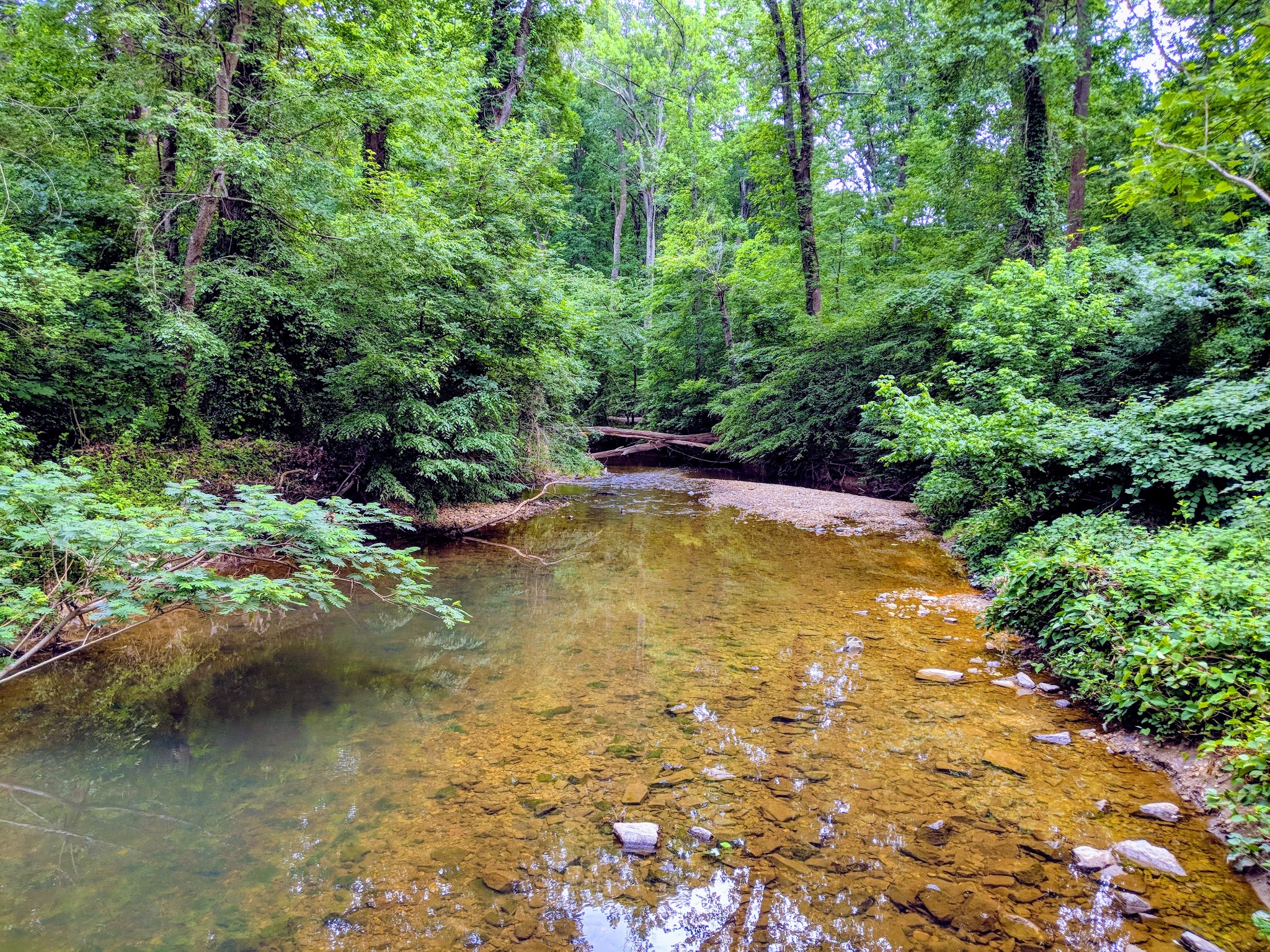 Eakin Park (Mantua Section) - Fairfax, VA
