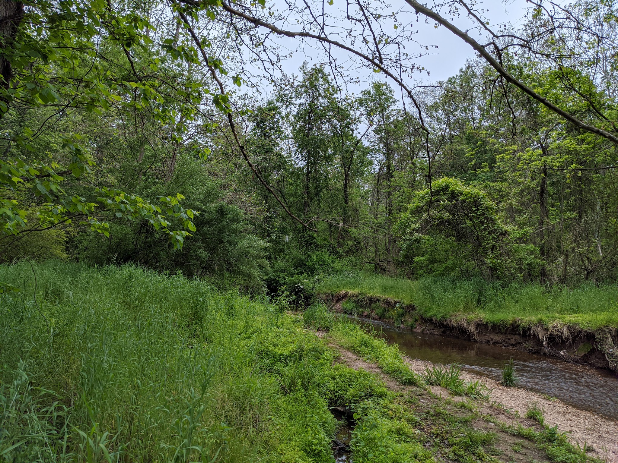 Greenbriar Park - Fairfax, VA
