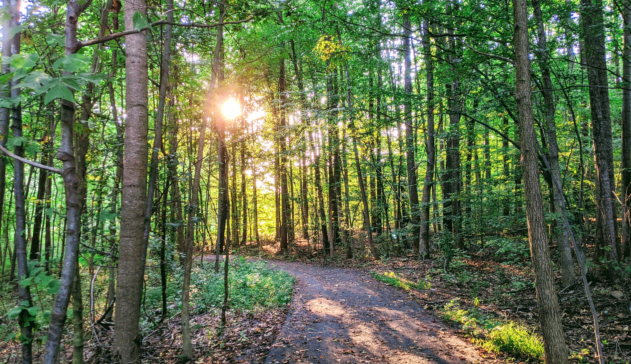 Stringfellow Park - Fairfax, VA