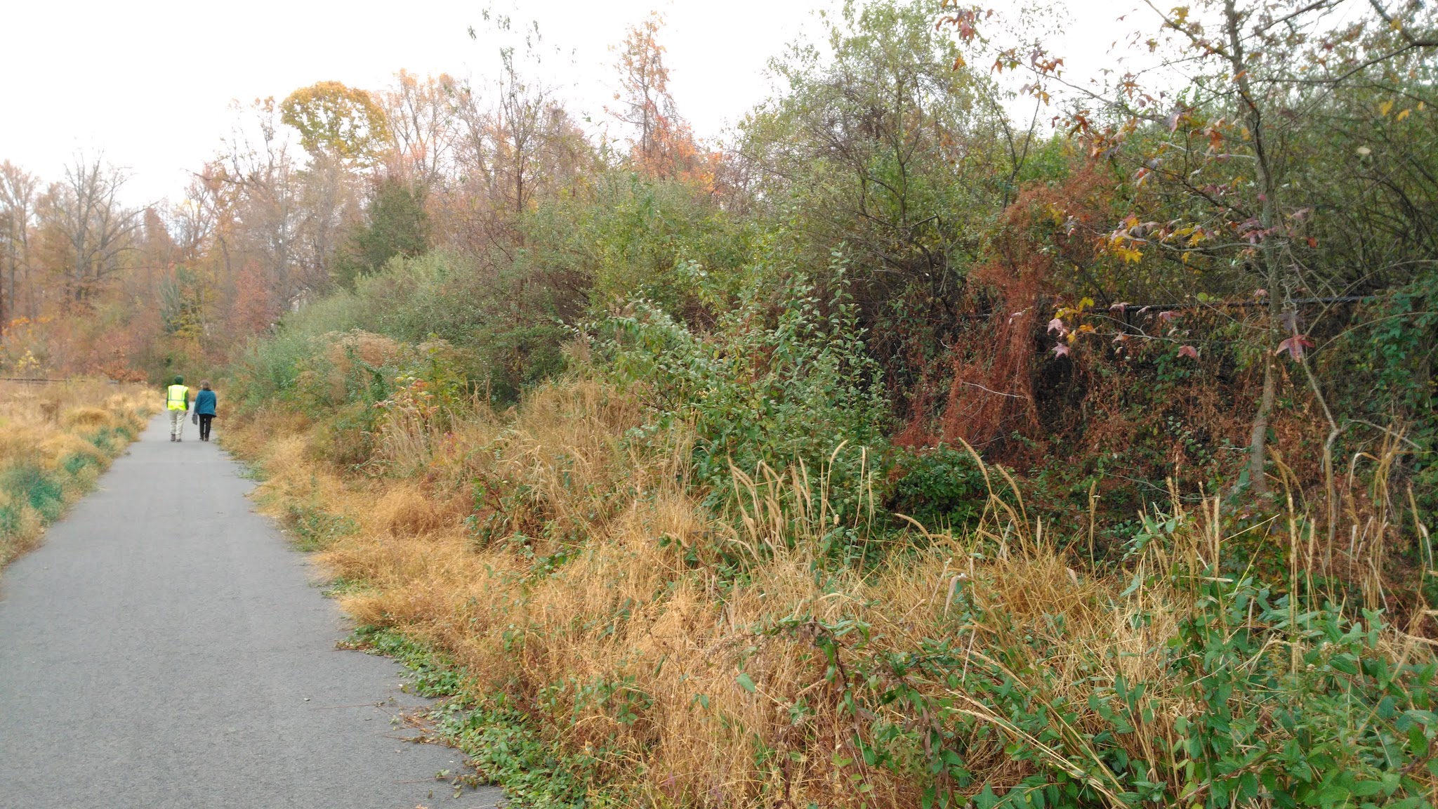 Stringfellow Park - Fairfax, VA