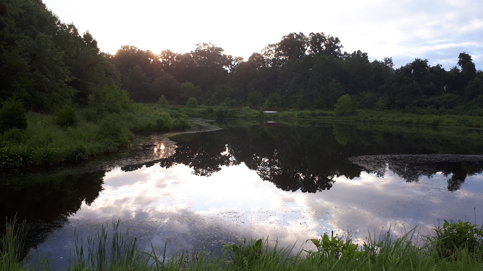 Stringfellow Park - Fairfax, VA