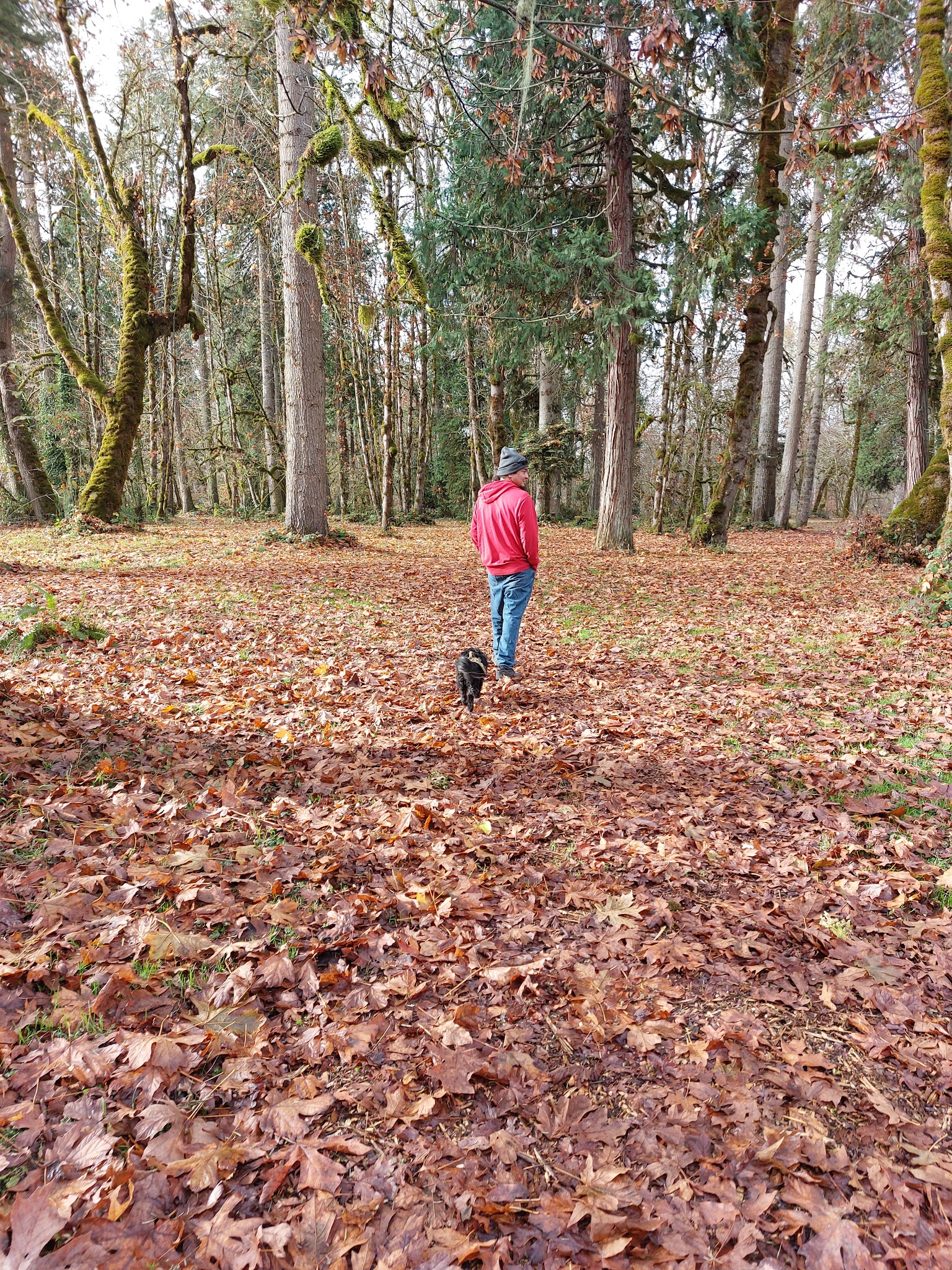 Osgood Park - Fall Creek, OR