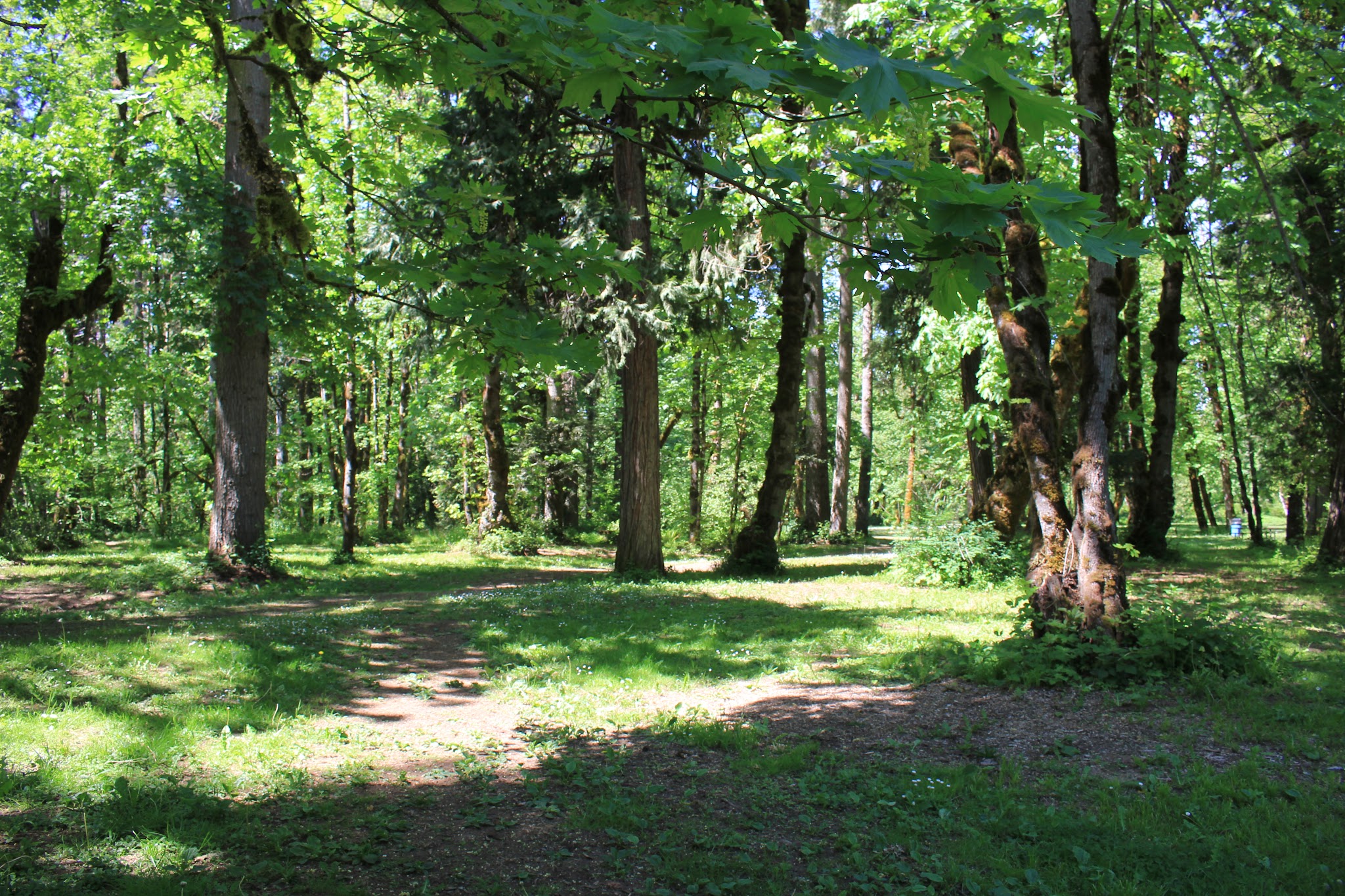 Osgood Park - Fall Creek, OR
