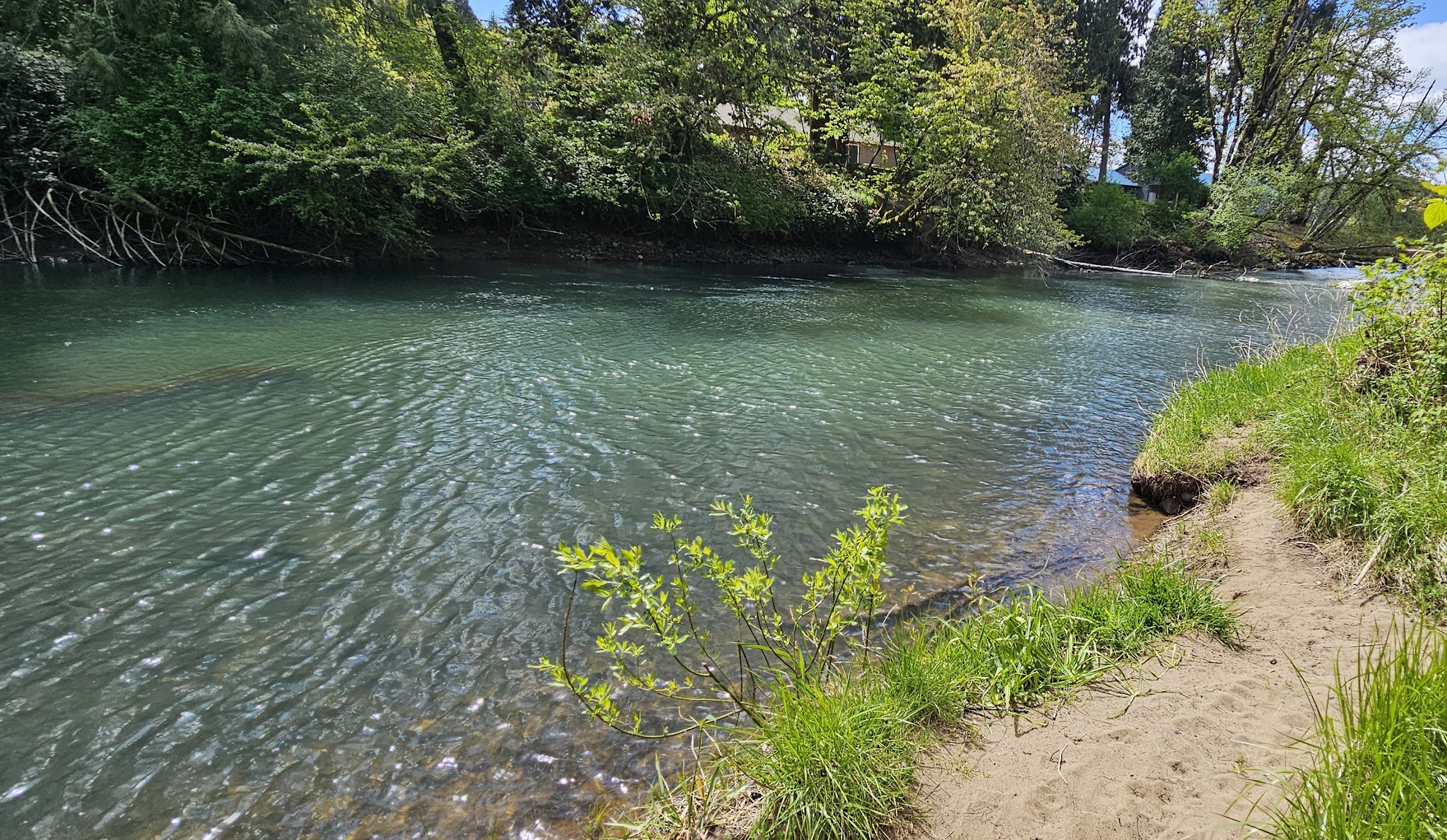Osgood Park - Fall Creek, OR