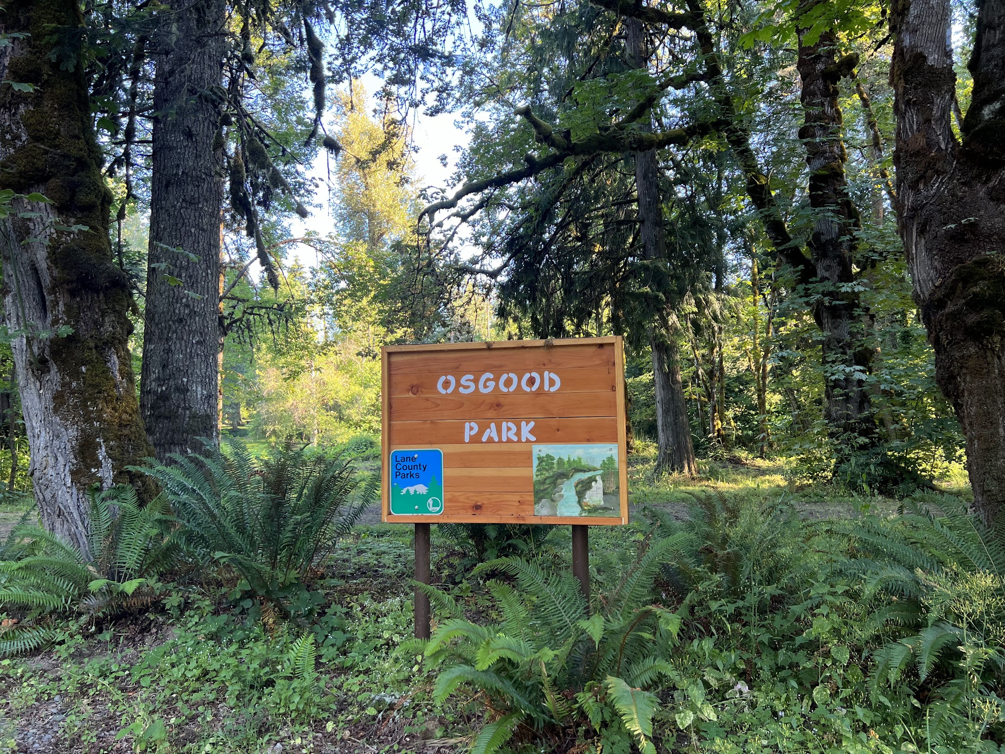 Osgood Park - Fall Creek, OR