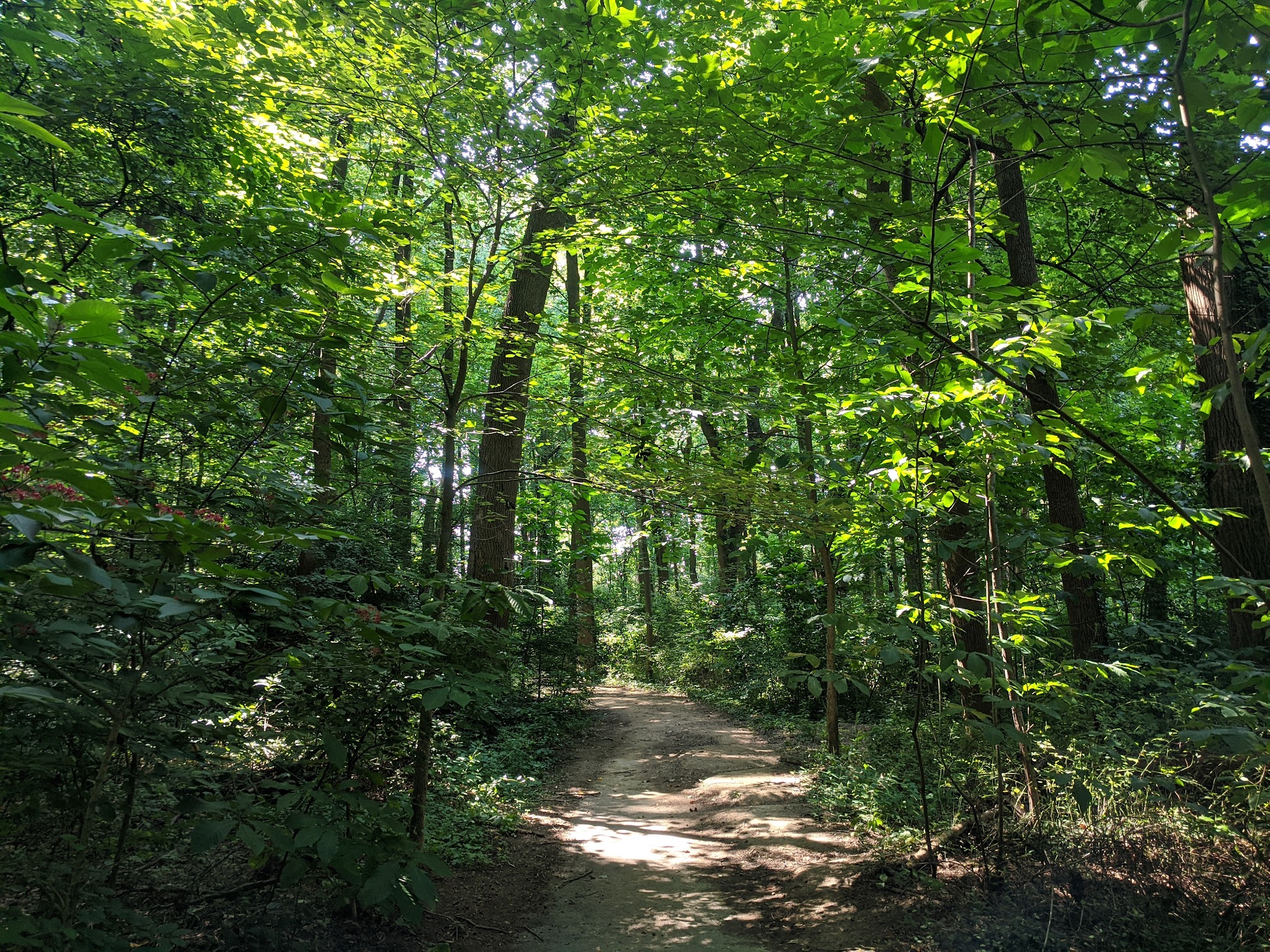 Haycock Longfellow Park - Falls Church, VA