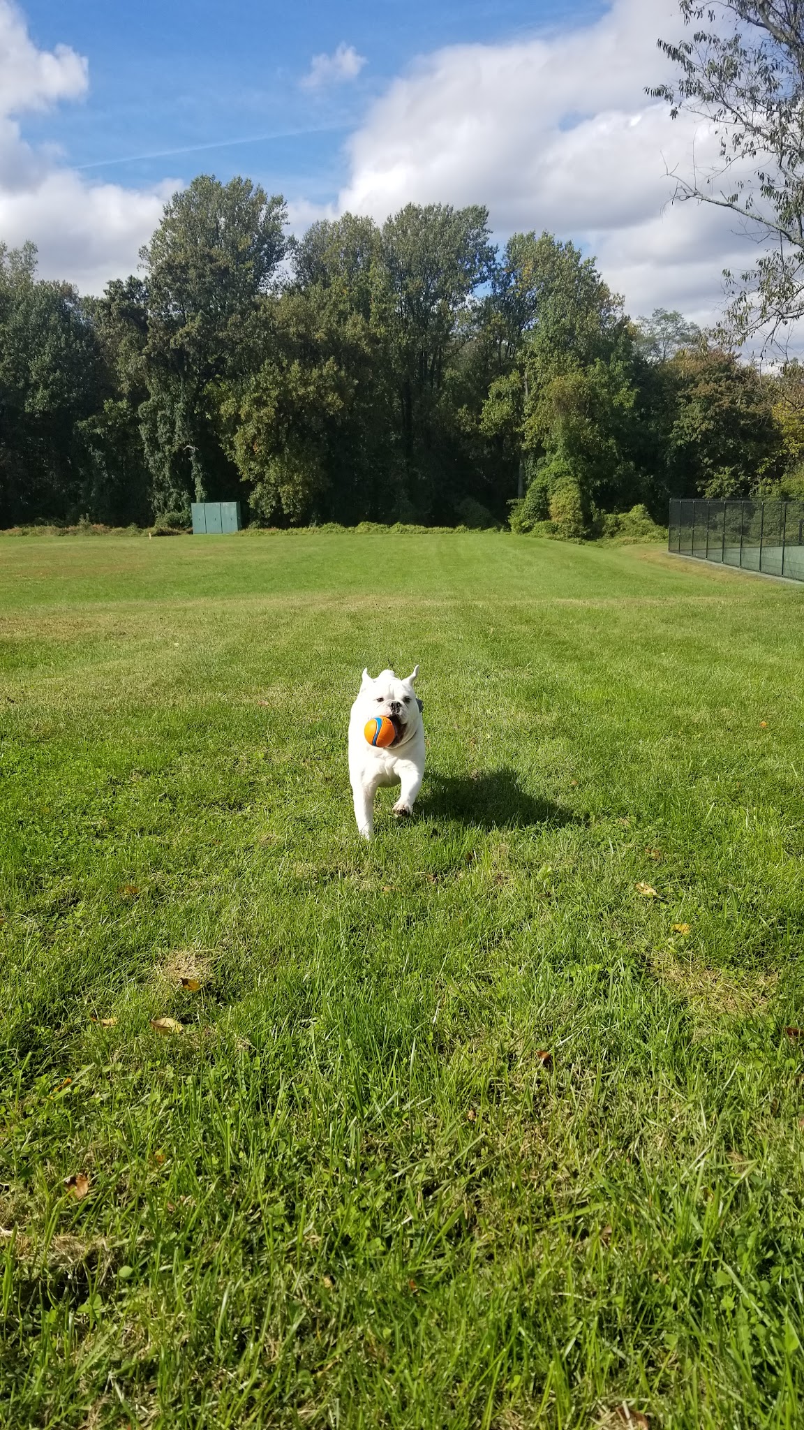 Justice Park - Falls Church, VA