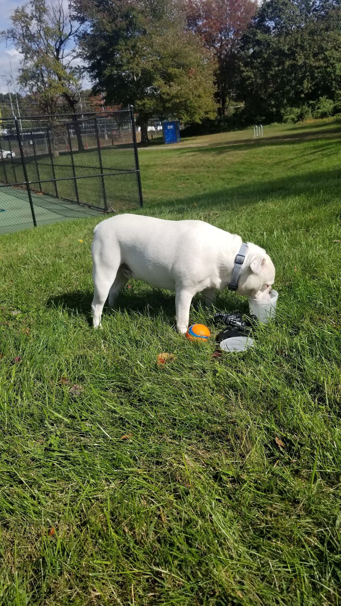Justice Park - Falls Church, VA