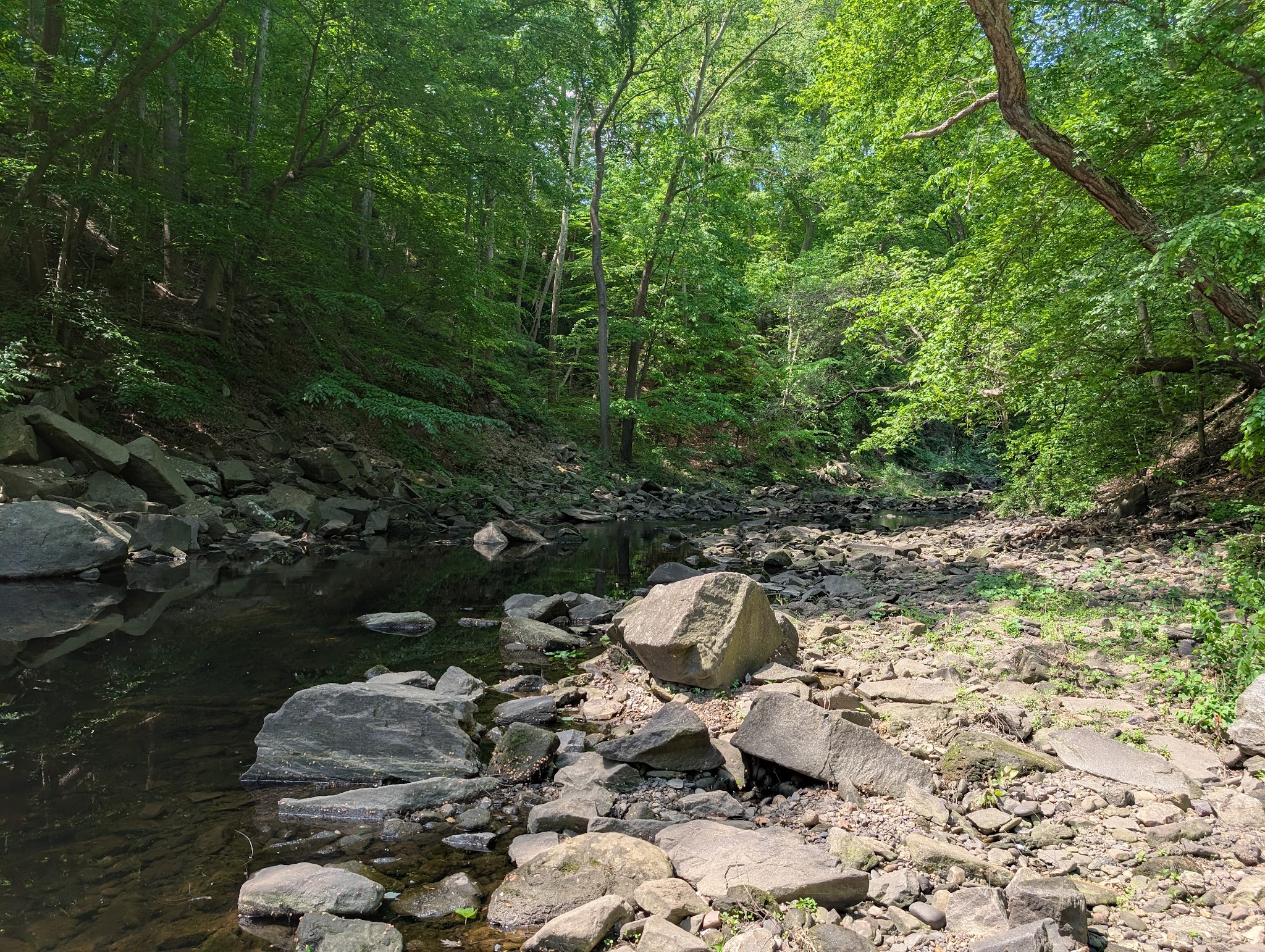 Lillian Carey Park - Falls Church, VA