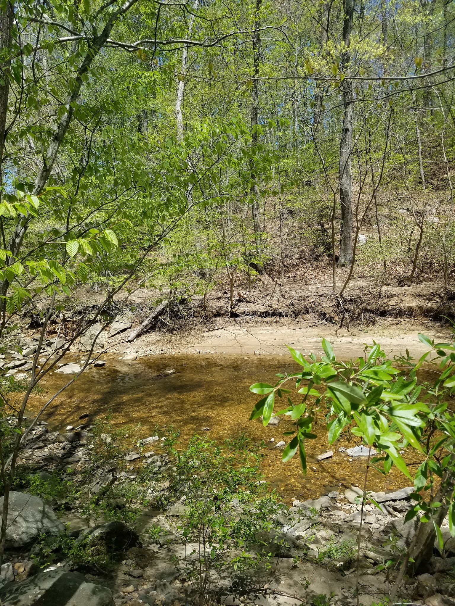 Lillian Carey Park - Falls Church, VA